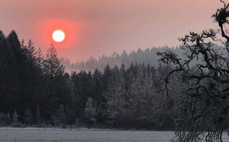 हिन्दी कविता