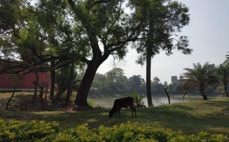 हिन्दी कविता