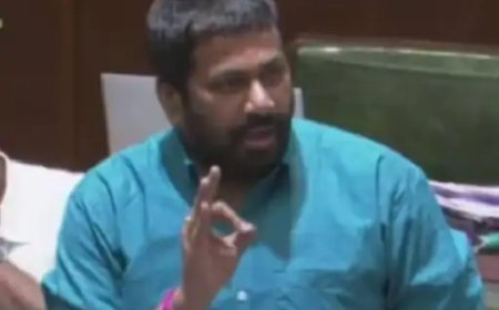 प्रहार जनशक्ति पार्टी के प्रमुख ने कहा - 'आवारा कुत्तों को असम भेजो, वहां के लोग कुत्तों को खाते हैं'