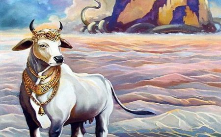 'समुद्र मंथन से निकली है गाय, केंद्र सरकार को घोषित करना चाहिए राष्ट्रीय पशु'- Lucknow High Court