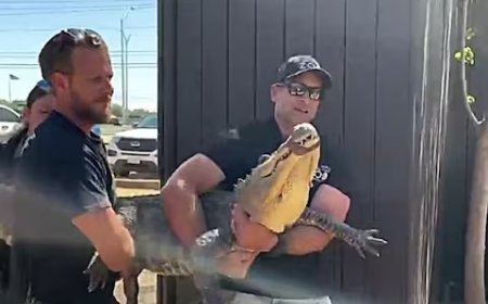 20 साल पहले घर लायी खतरनाक जीव का अंडा