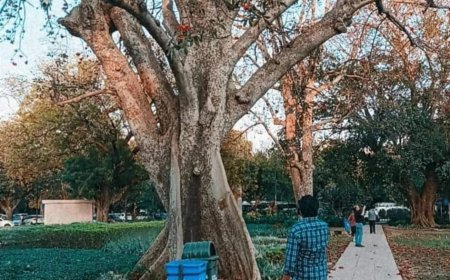 समान्तर