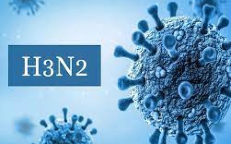 भारत में तेजी से फैल रहा H3N2 वायरस का संक्रमण
