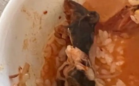 ग्राहक को सर्व किए गए सूप में मिला मरा हुआ चूहा
