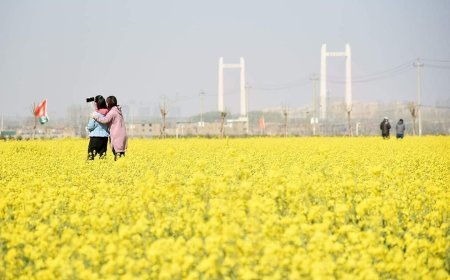 फ़िराक़ गोरखपुरी