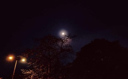 जयशंकर प्रसाद