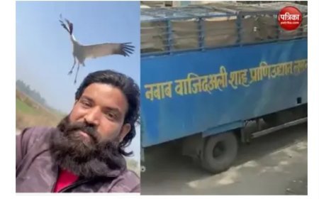 आरिफ के दोस्त सारस को मिला नया ठिकाना