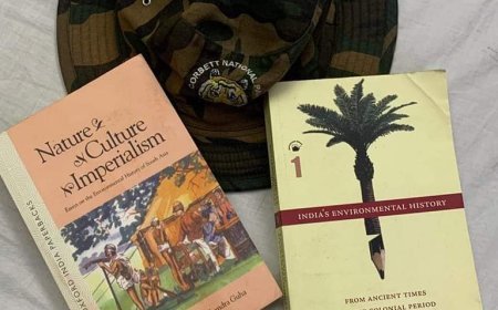 समीक्षा