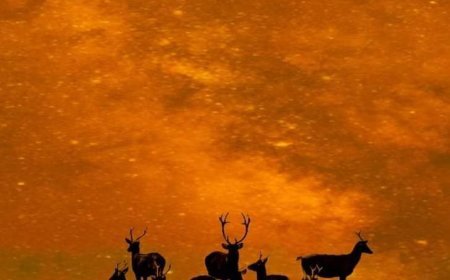 विज्ञान और साहित्य