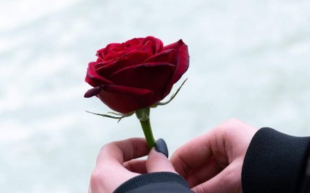 अंग्रेजी साहित्य