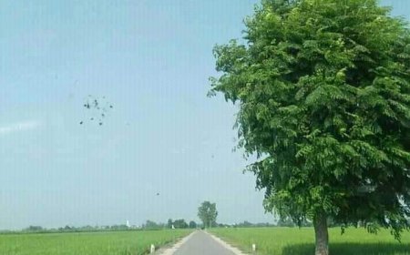 अंग्रेज़ी कविता