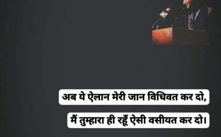 शेर