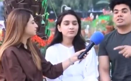 कश्मीर में सस्ती बिजली, मस्जिद में अजान और तिरंगा देख भौचक्के रह गए पाकिस्तानी