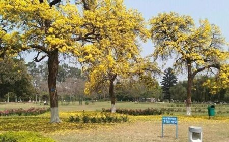 अपनी बात