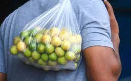 पाकिस्तान में नींबू 800 और अदरक 640 रूपए किग्रा