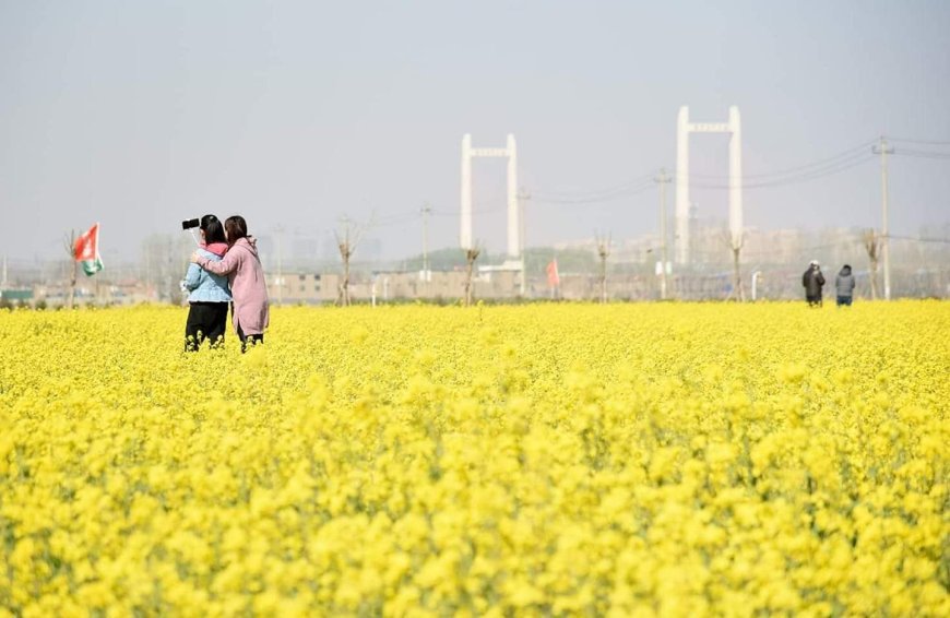 फ़िराक़ गोरखपुरी