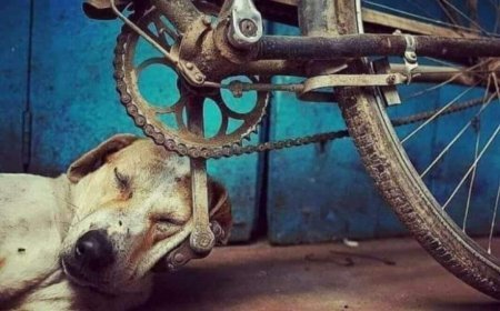 मेरी बात