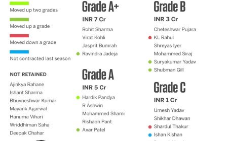 भारतीय क्रिकेटर्स ग्रेड के अनुसार