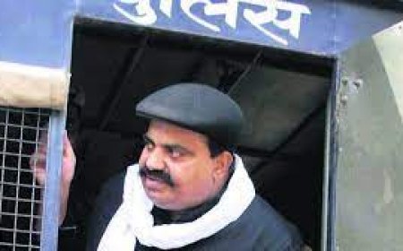 अतीक अहमद को मिला झाडू़ लगाने, खेती करने और भैंस धोने का काम