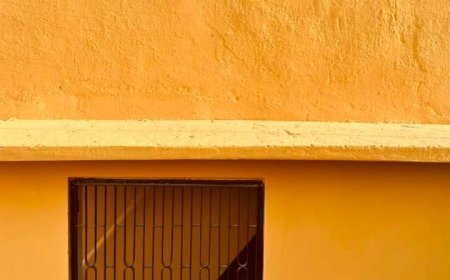 शेर (मिर्ज़ा ग़ालिब