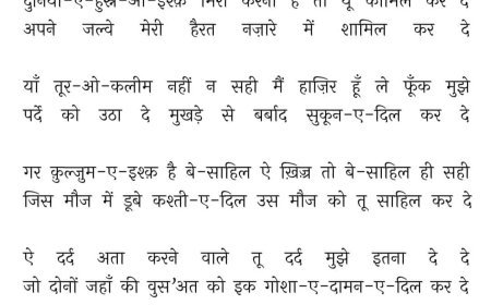 ग़ज़ल (अपने दीदार की हसरत)