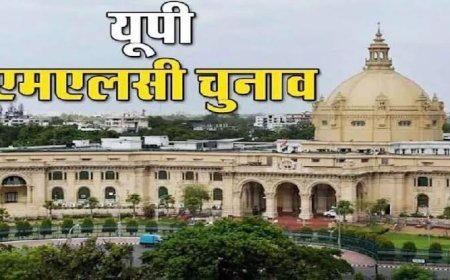 एएमयू के कुलपति बने एमएलसी, राज्यपाल ने दी मंजूरी, मनोनयन की अधिसूचना जारी, यह चर्चा हुई तेज