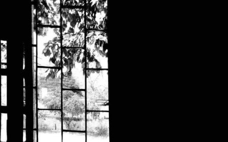 कविता ( तुम्हें प्रेम करते हुए)