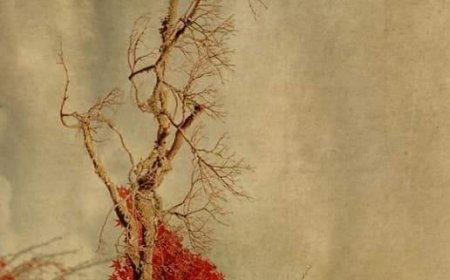 ग़ज़ल ( बेवफाई को भी )