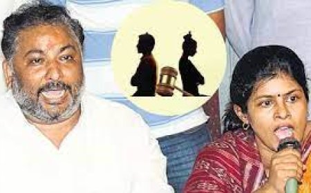 22 साल बाद टूटा रिश्ता, स्वाति सिंह और मंत्री दयाशंकर सिंह का तलाक