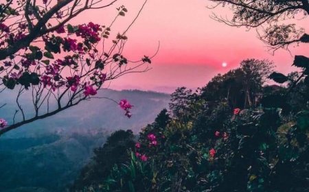 ग़ज़ल(रंग बातें करें)