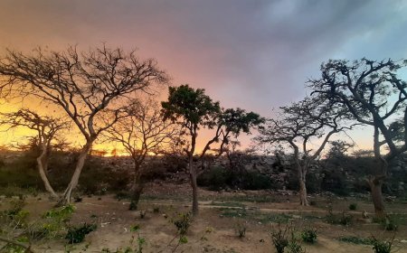 ये तो है