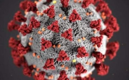 कोविड
