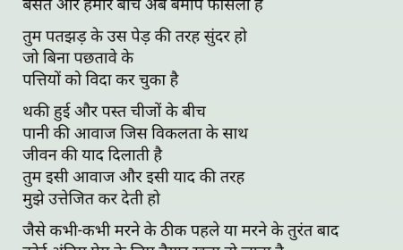 कविता ( अंतिम प्रेम)