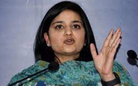 महबूबा मुफ़्ती की बेटी को मिला 'सिर्फ एक ही देश' का पासपोर्ट