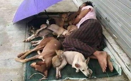 शेर (अपनी मंजिल पर )