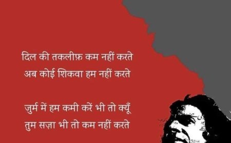 शेर (तुम सज़ा भी तो कम नही करते)