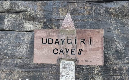 उदयगिरि कि गुफाएं