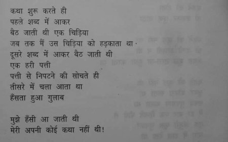 हिन्दी कविता - अपनी कथा नही