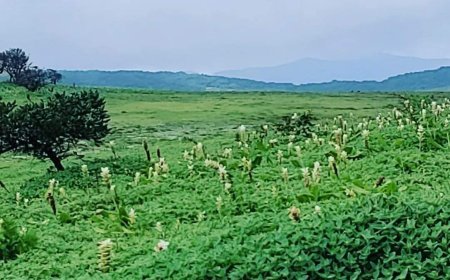 सतारा वैली