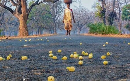 ब्रज भाषा के सम्बंध में
