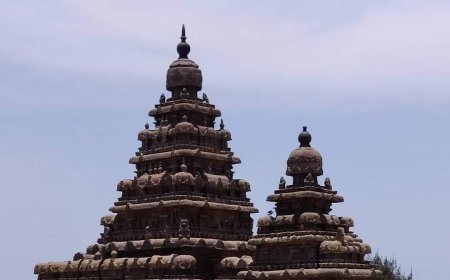 कविता (हम ने पत्थरों को छुआ)