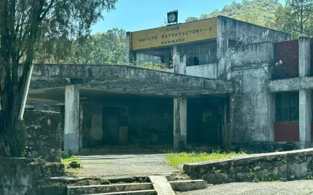 एच. एम. टी