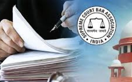 सुप्रीम कोर्ट क्यों करवा रहा वकीलों की डिग्री की जांच?