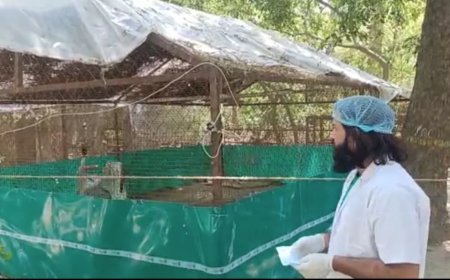 कानपुर चिड़ियाघर में आरिफ को देखकर 'बेचैन' हुआ सारस