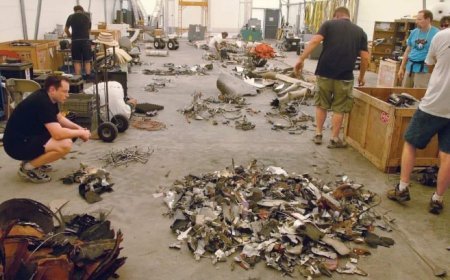 एलोन मस्क