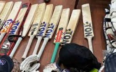 पुलिस की गिरफ्त में आया बैट चोर, दिल्ली कैपिटल्स के खिलाड़ियों का उड़ाया था सामान