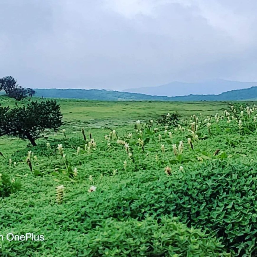 सतारा वैली