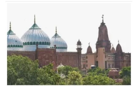 हाईकोर्ट ने खारिज की मुस्लिम पक्ष की अर्जी, नए सिरे से होगी सुनवाई