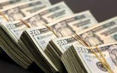 सीरिया में आईएस की महिलाओं को पैसे भेजता था भारतीय-अमेरिकी