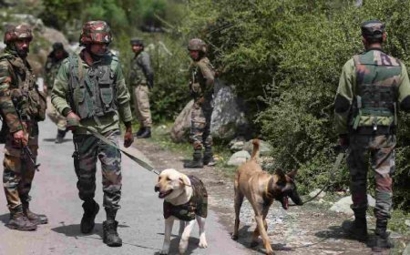 श्रीनगर में G-20 बैठक के दौरान 26/11 जैसे हमले की साजिश, ISI की मदद से आतंकियों ने बनाया था प्लान